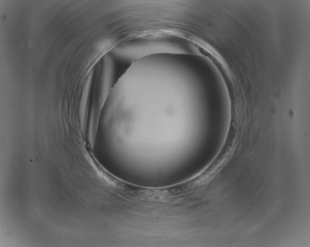 X0000067850809200604271643