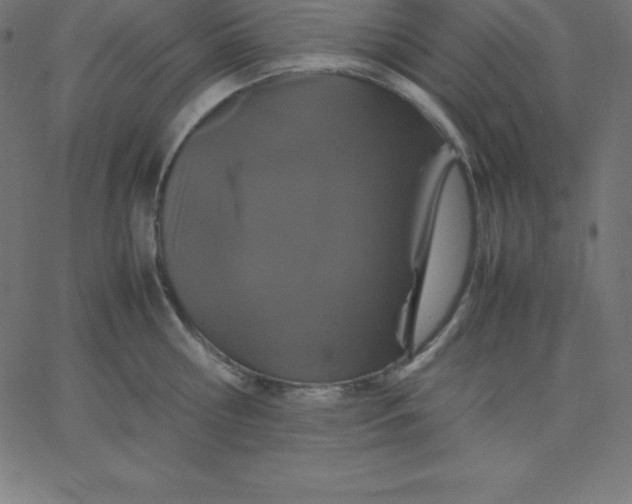 X0000067850810200604271643