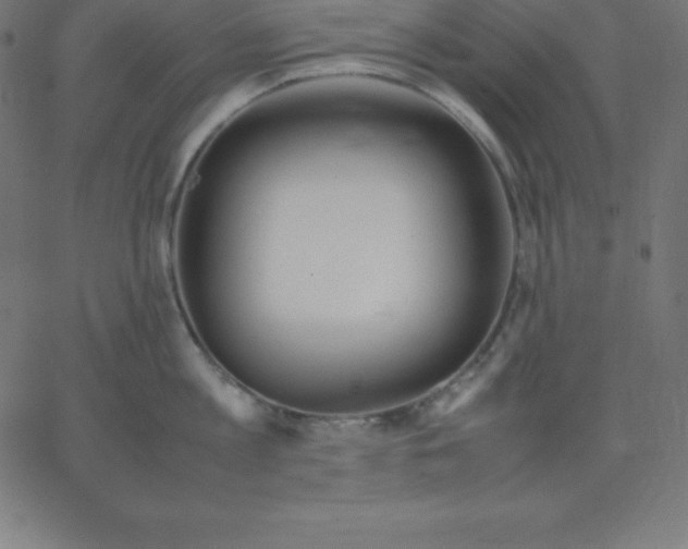 X0000067850813200604271643