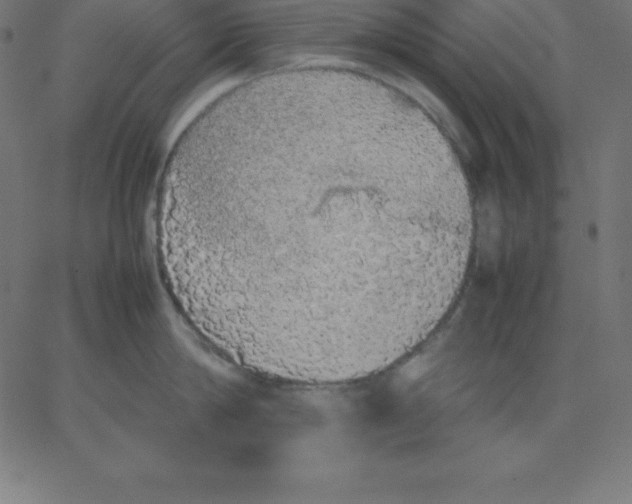 X0000067850814200604271643