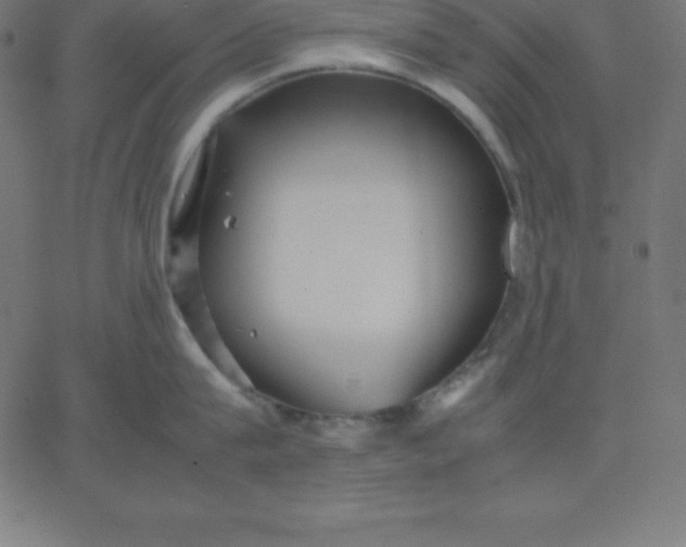 X0000067850815200604271643