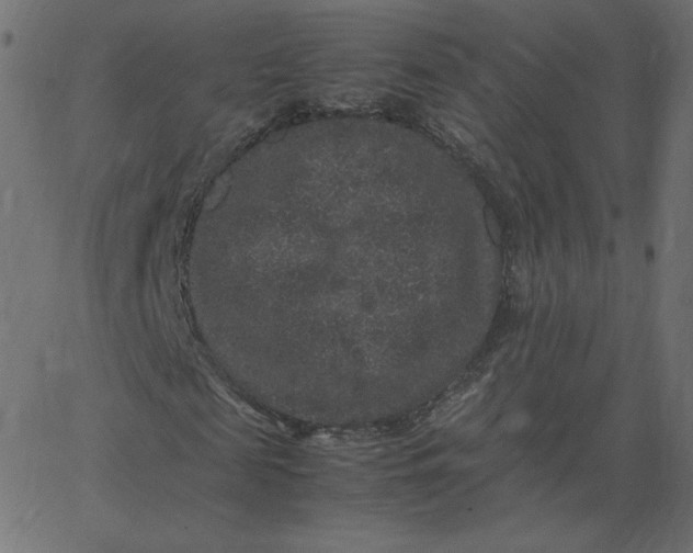 X0000067850817200604271642