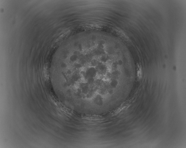 X0000067850819200604271642