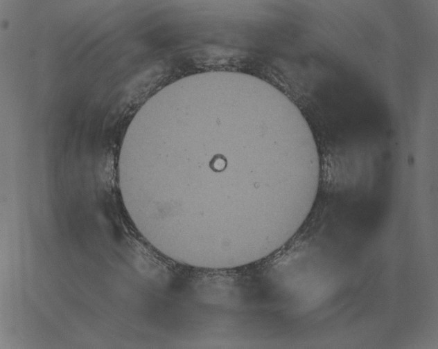 X0000067850820200604271642