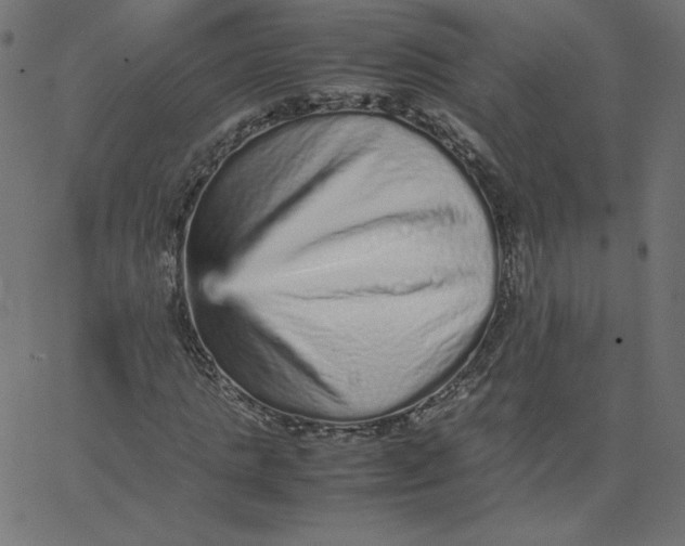 X0000067850821200604271643