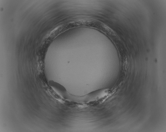 X0000067850822200604271643