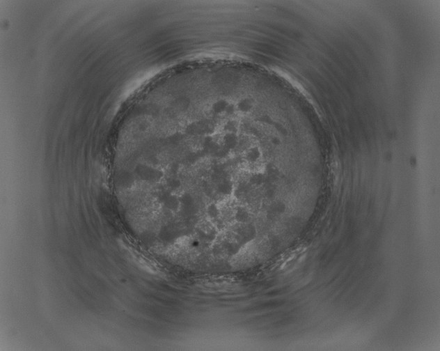 X0000067850823200604271643