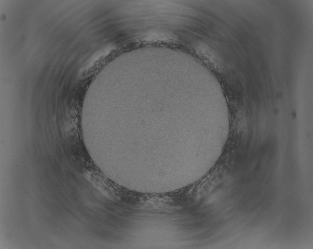 X0000067850824200604271643