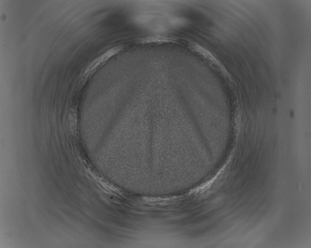 X0000067850825200604271643