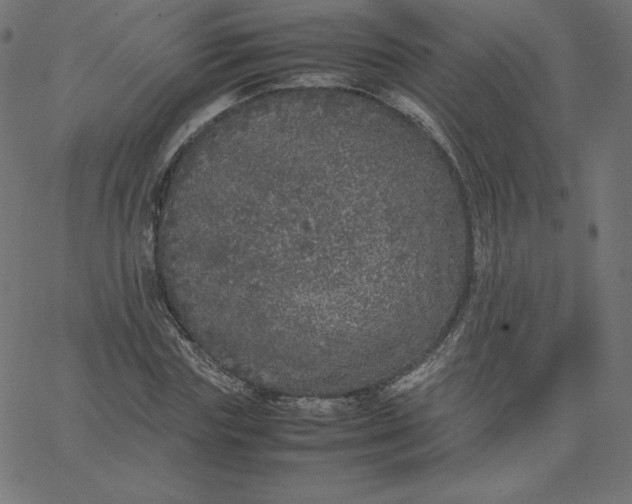 X0000067850827200604271643