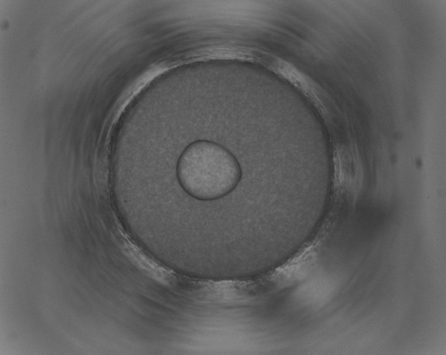 X0000067850828200604271643