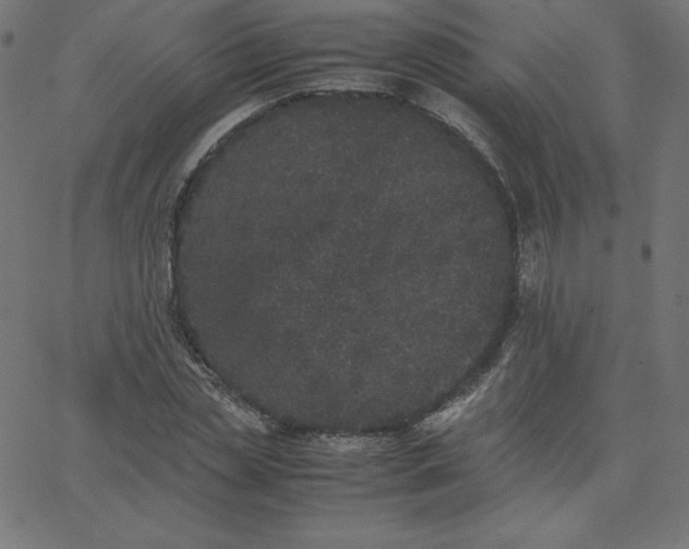 X0000067850829200604271643