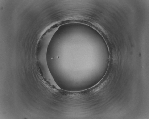 X0000067850830200604271643