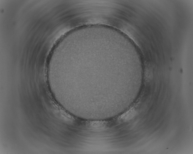 X0000067850832200604271643