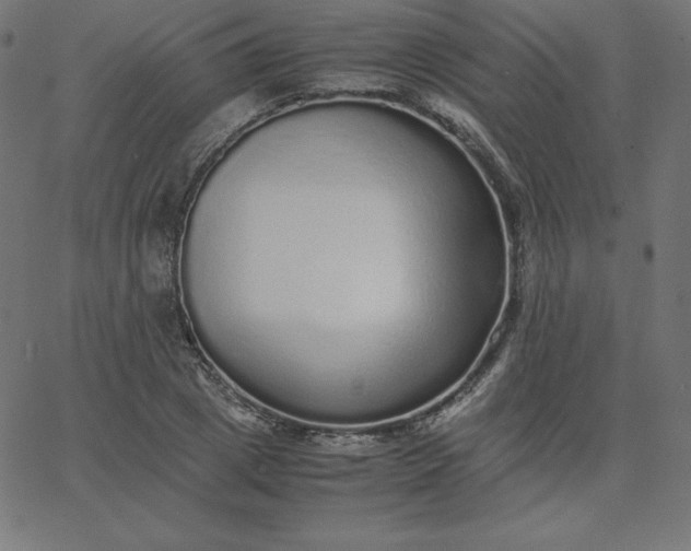 X0000067850833200604271643