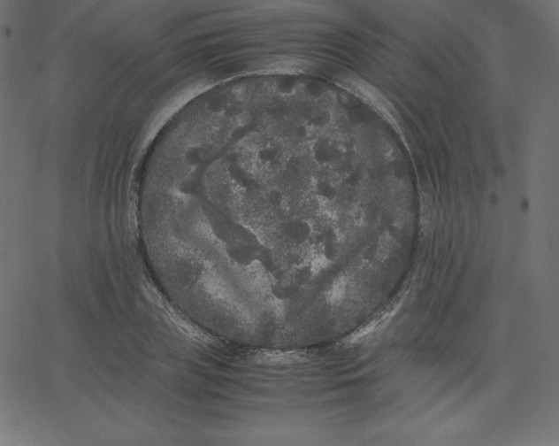 X0000067850835200604271643