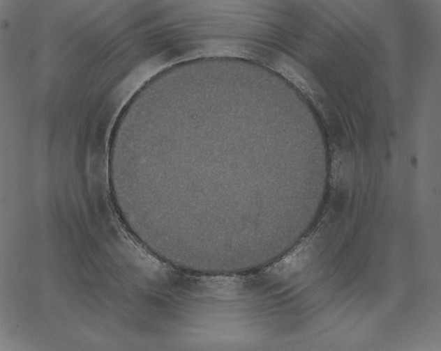 X0000067850836200604271643