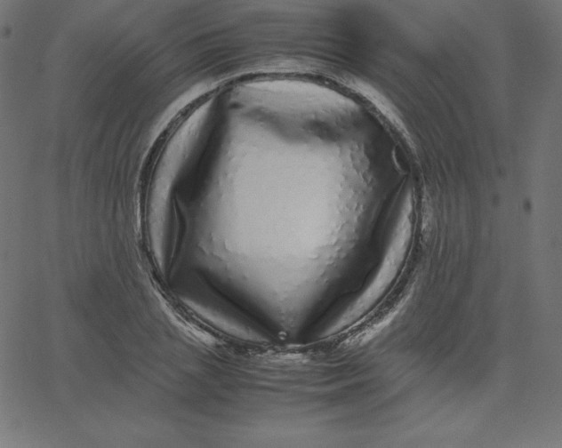 X0000067850837200604271643