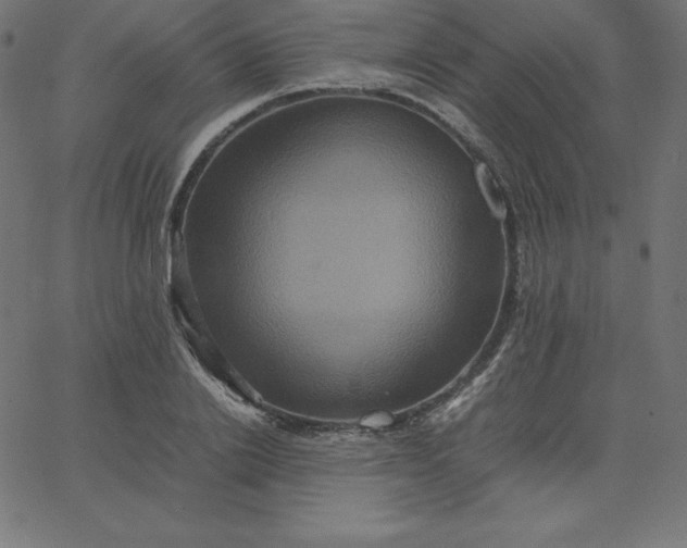 X0000067850838200604271643