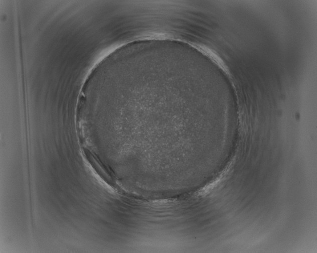 X0000067850839200604271643