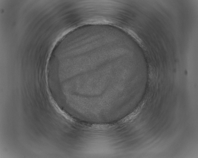 X0000067850840200604271643