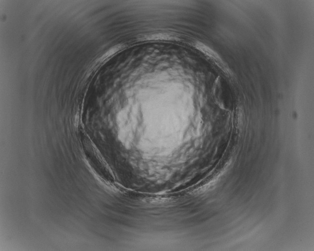 X0000067850841200604271643