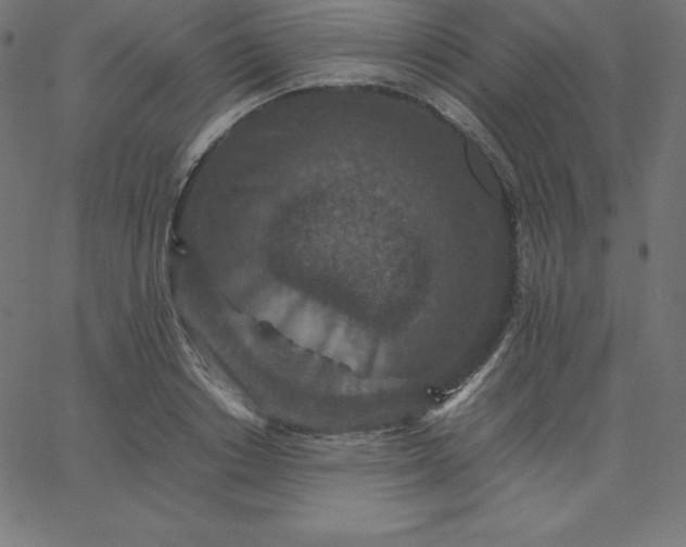 X0000067850842200604271643