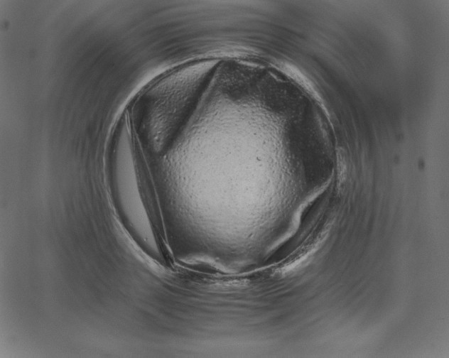 X0000067850843200604271643