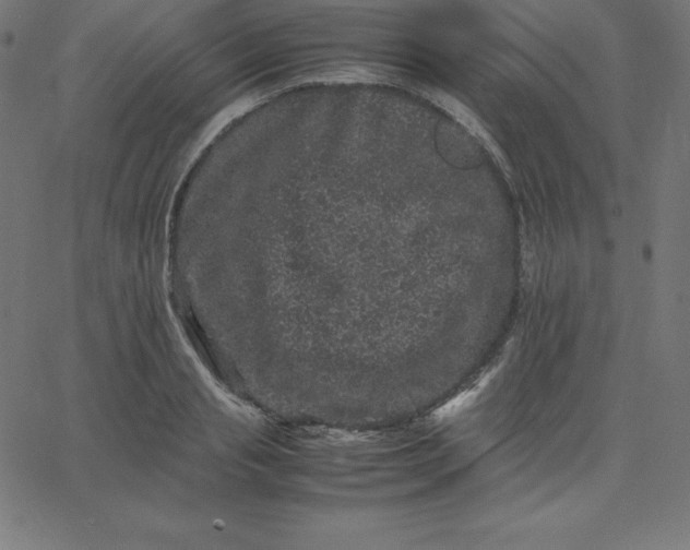 X0000067850845200604271643