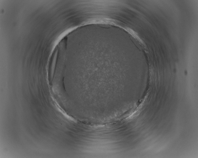 X0000067850846200604271643