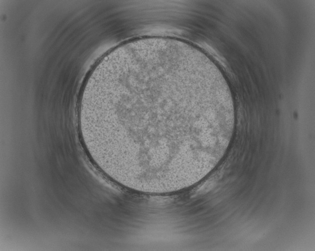 X0000067850848200604271643