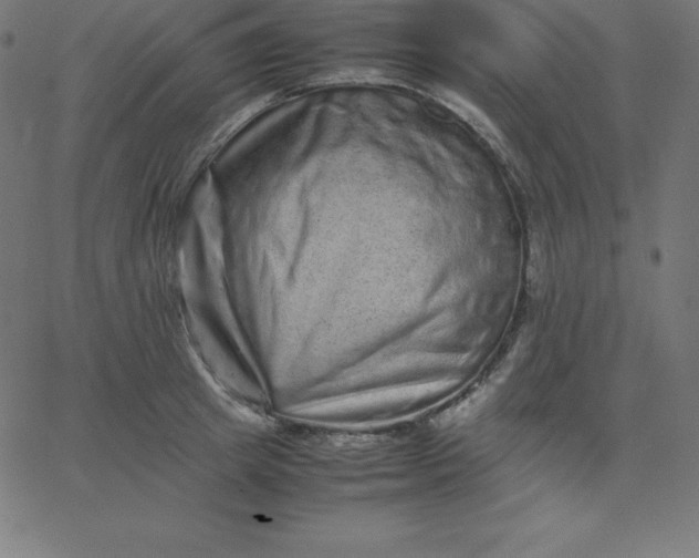 X0000067850849200604271643