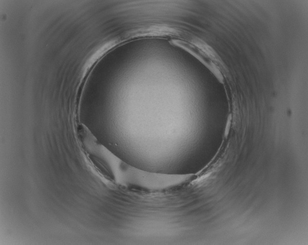 X0000067850850200604271643