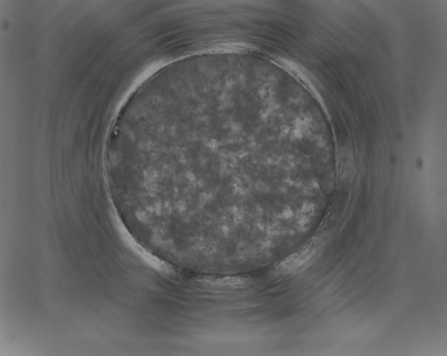 X0000067850851200604271643