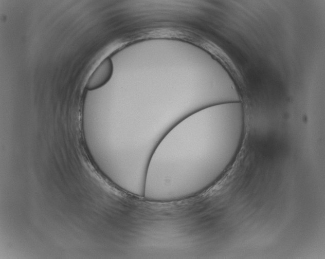 X0000067850852200604271643