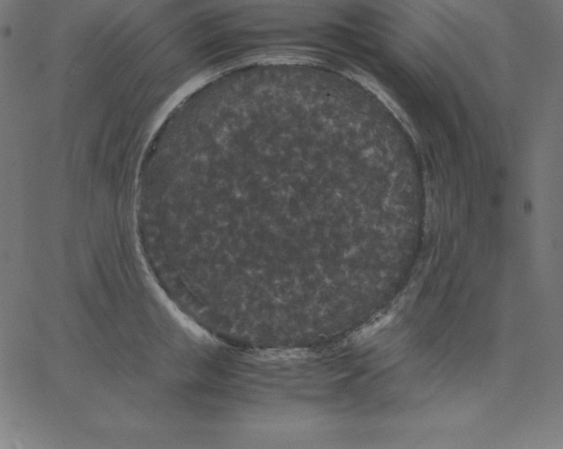 X0000067850853200604271643