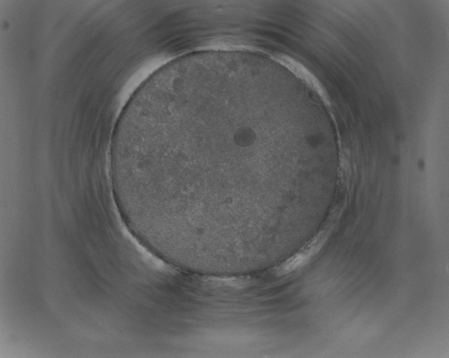 X0000067850855200604271643