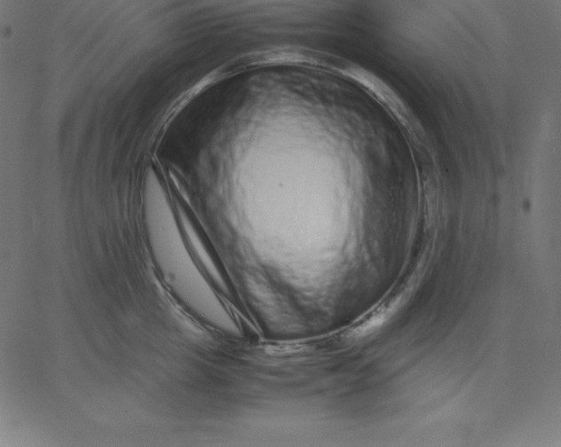 X0000067850857200604271643