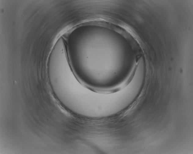 X0000067850858200604271643