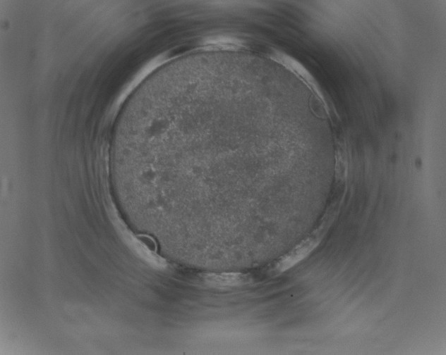 X0000067850859200604271643