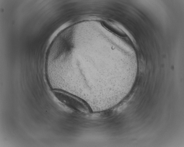 X0000067850861200604271643