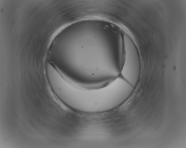 X0000067850862200604271643