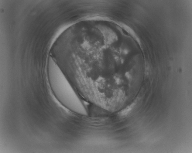 X0000067850863200604271643