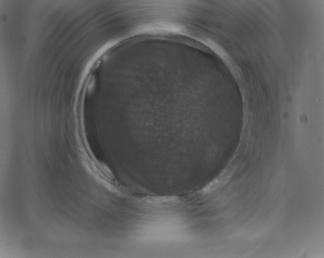 X0000067850864200604271643