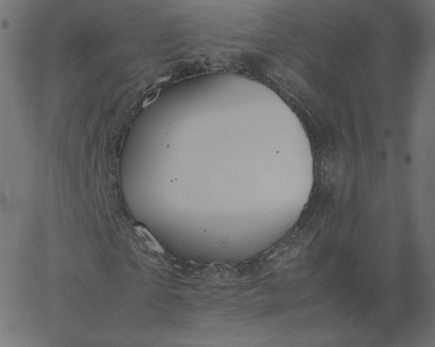 X0000067850865200604271642