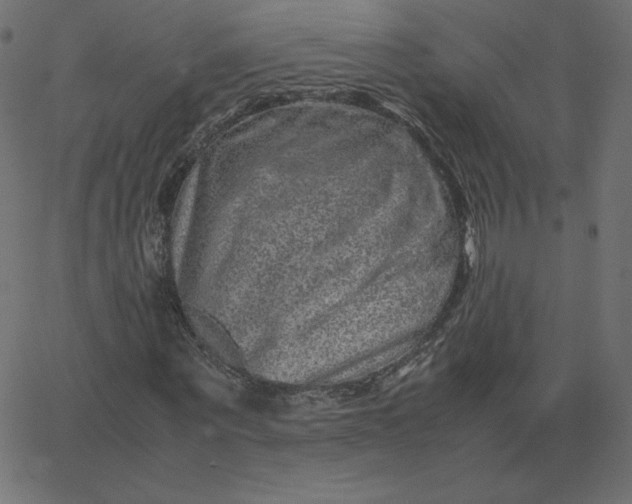 X0000067850867200604271642