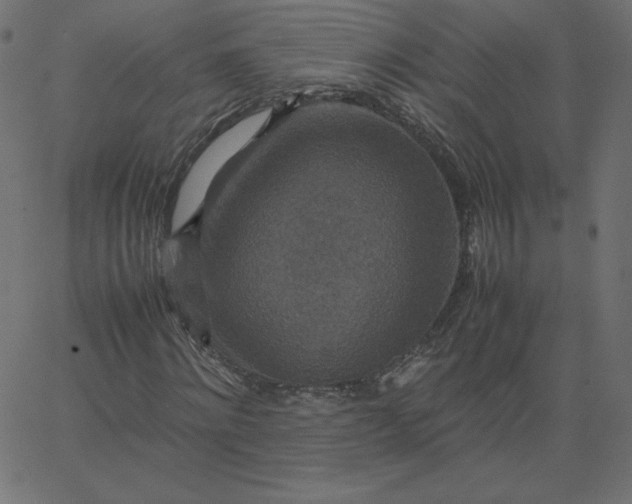 X0000067850868200604271642