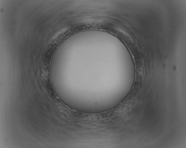 X0000067850869200604271642