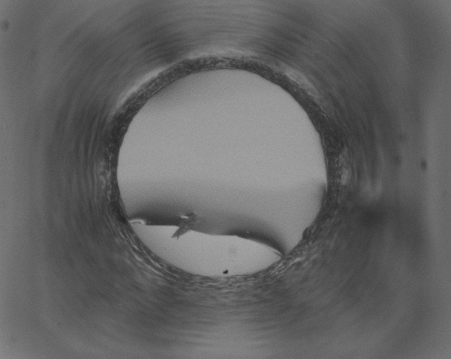 X0000067850872200604271642