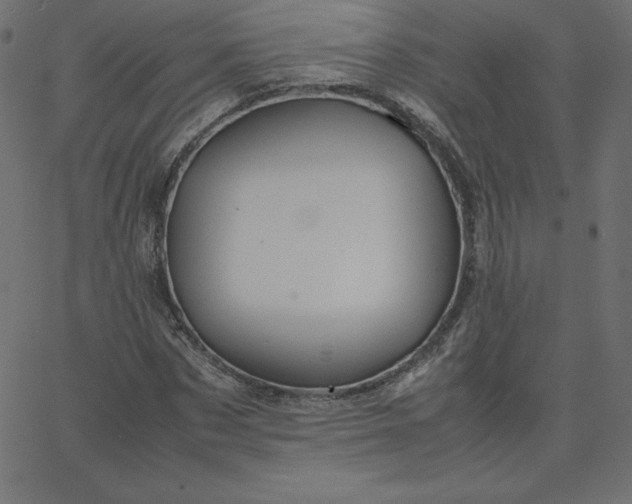 X0000067850873200604271642